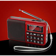 Radio Portátil FM/AM(MW)/SW/USB/Micro-SD/MP3, Estación de Radio  recargable portátil